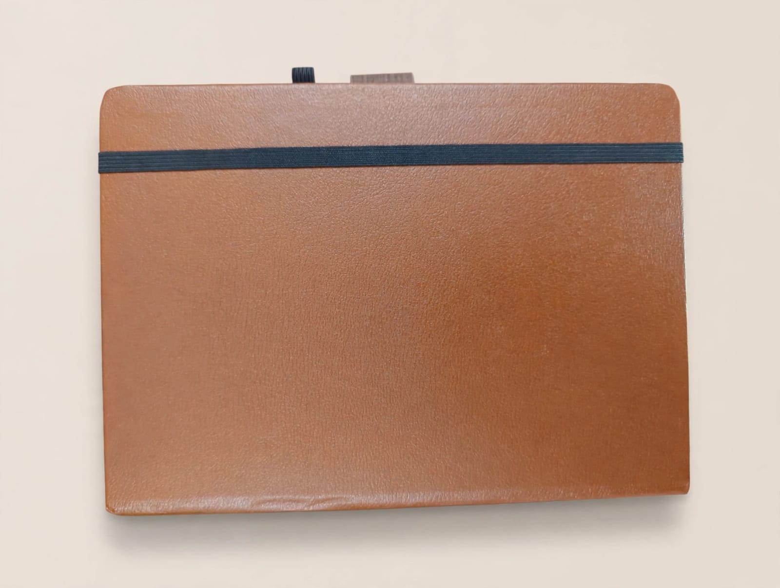 Diary cl-438